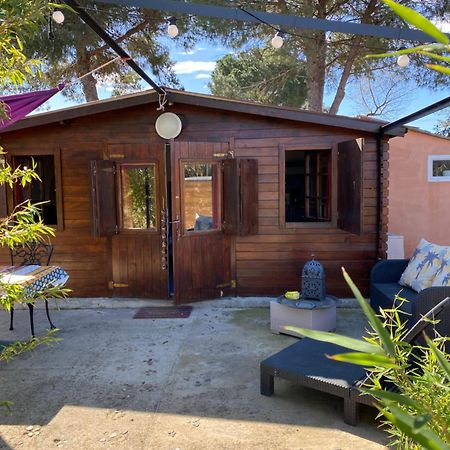 Chalet Des Oliviers 20Mn Des Plages Climatise Beziers Luaran gambar