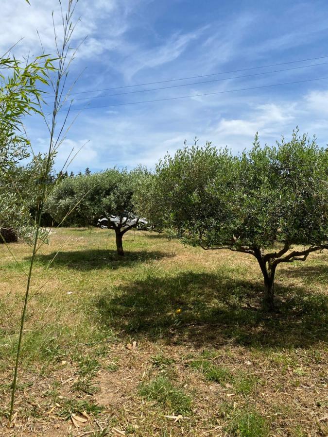 Chalet Des Oliviers 20Mn Des Plages Climatise Beziers Luaran gambar